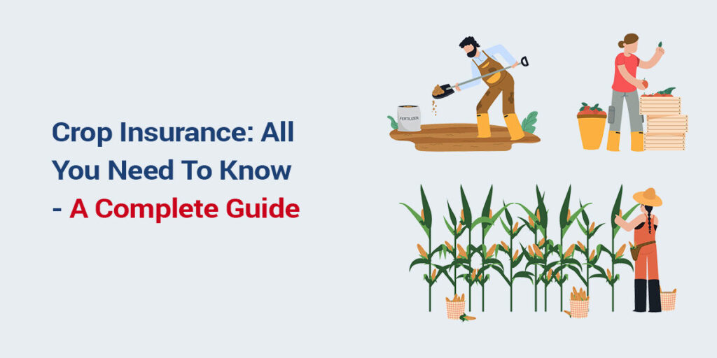 crop insurance works further to different forms of coverage: farmers pay premiums to coverage carriers in change for insurance against potential losses.