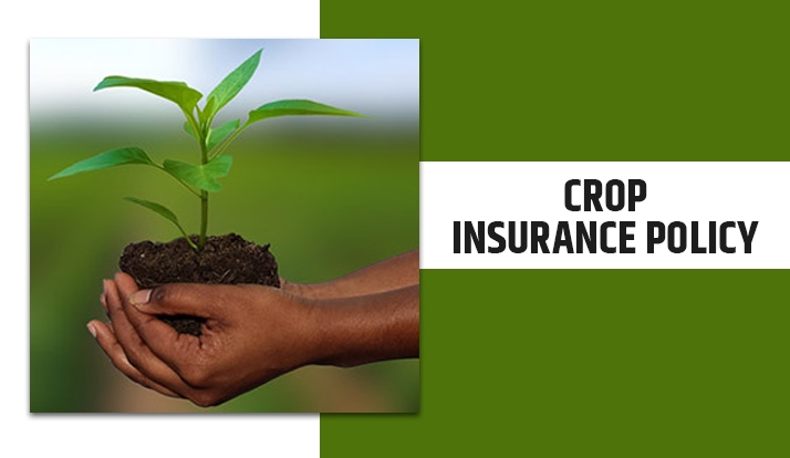 crop insurance works further to different forms of coverage: farmers pay premiums to coverage carriers in change for insurance against potential losses.