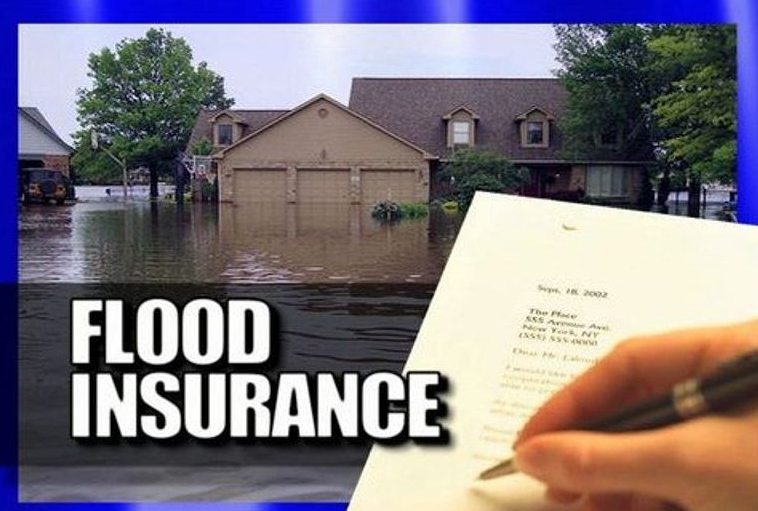 Discover everything you need to know about flood insurance from coverage options to expert tips. Safeguard your property against rising waters and financial loss.